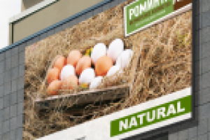 Работа 2441451