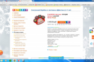 Описание игрушки (электронный барабан)