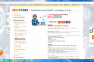 Описание игрушки (интерактивная кукла)