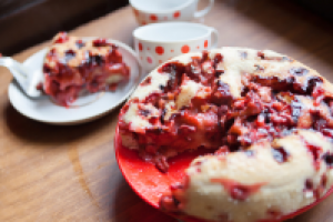 Работа 2733751