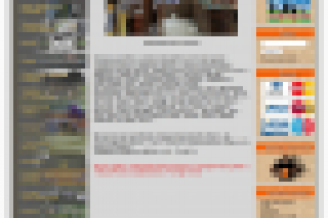 Продвижение сайта оружейного магазина "13-й калибр"