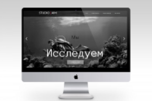 Лендинг "Веб- студия Aim"