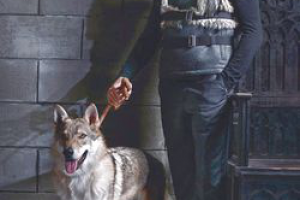 т/с “Клим”, т/к Первый