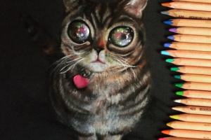 Техника рисования цветным карандашом