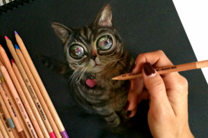 Техника рисования цветным карандашом