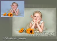 img1229347.png