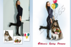 Художественный коллаж в стиле Pin Up.