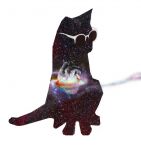 img2774707.png