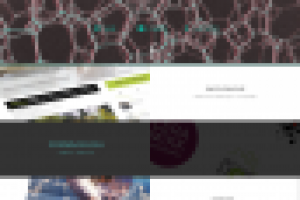 Дизайн-бюро МОЛОКО 1