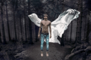 Работа 2958478