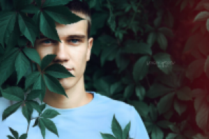 Работа 2943767