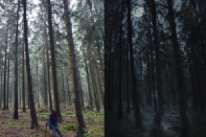 Работа 2959950