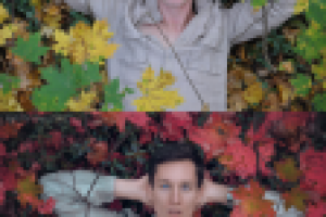 Работа 2955948