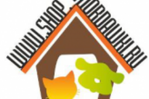 Логотип Мордашки.ру