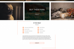 Сайт иностранного приюта для собак