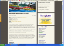 Работа по заказу. описание аквапарка