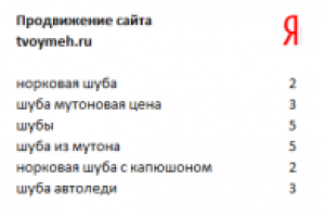 Магазин шуб, Москва