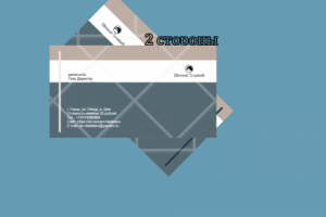 Визитка Пример