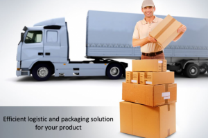 Development&Optimization of Logistic Solution