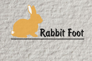 Rabbit Foot