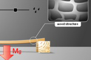 Симулятор "Клеточная структура дерева"