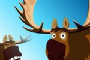 Жующий лось