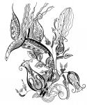 img2519647.png