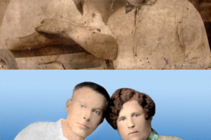 Работа 3188972