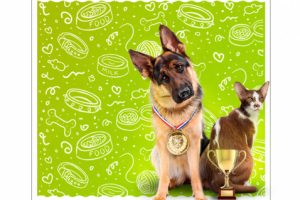 Работа 3182321