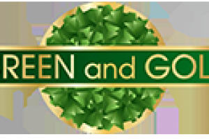 Создание сайта под ключ