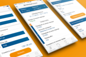 Сервис-Население