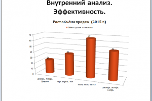 Совершенствование  маркетинговой стратегии на примере турфирмы «
