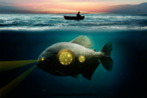 Перевод урока Рыба-субмарина