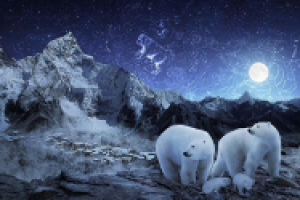 Перевод урока Полярная ночь