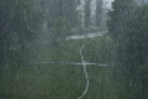 Работа 1099550