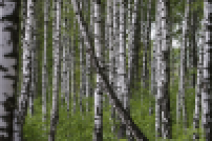 Работа 1099481