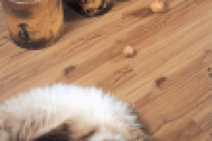 Работа 1112700