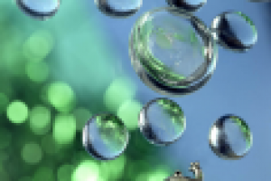 Работа 1093835