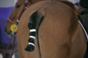 Работа 1110073