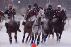 Работа 1110061