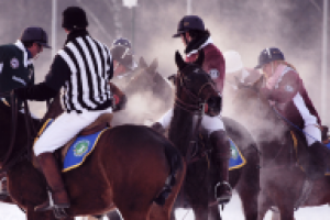 Работа 1110064