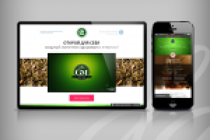 Работа 2879851