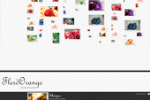 Промо-сайт FlerdOrange