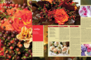 Работа 1007068