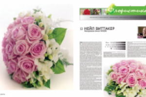 Работа 1007073