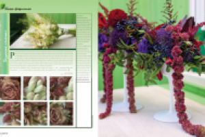 Работа 1007078