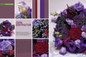 Работа 1007076