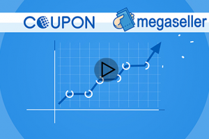 Webmoney + Megaseleer