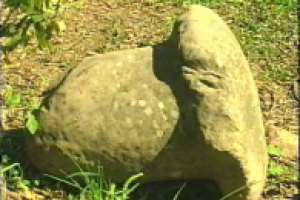 Беспризорная история