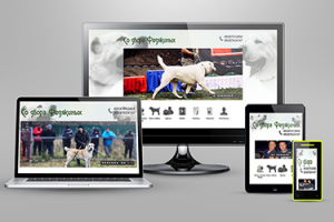 Со двора Федякиных. Битрикс.